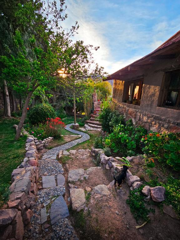 a dog standing in a stone path next to a house at La Hoyada in Tilcara