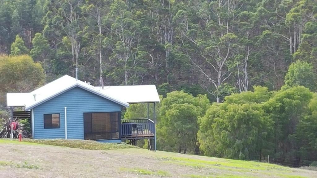 una casa blu su una collina vicino a una foresta di Rainbow Trail Chalets a Pemberton