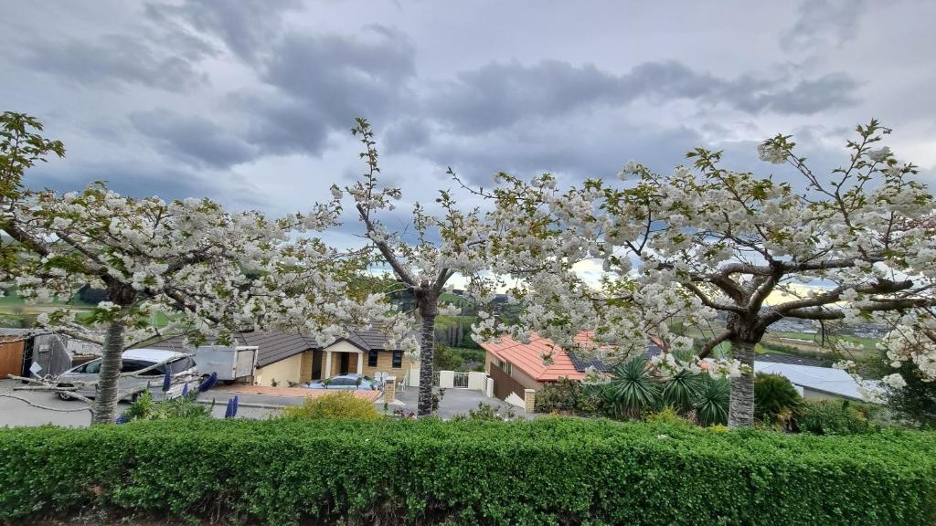 Rooms in a house at the iris sphere ??? - Resim 34