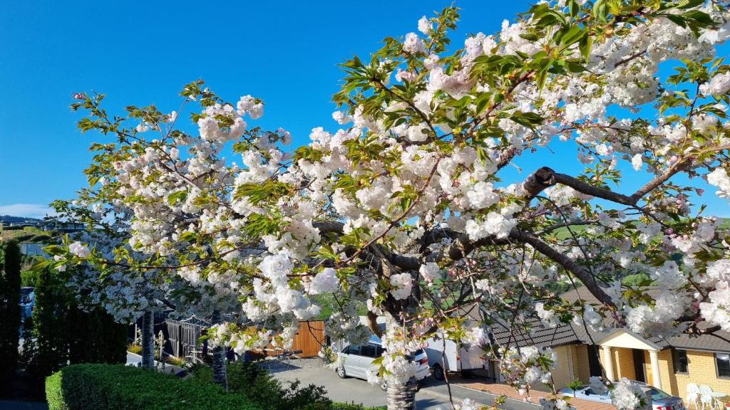 Rooms in a house at the iris sphere ??? - Resim 32