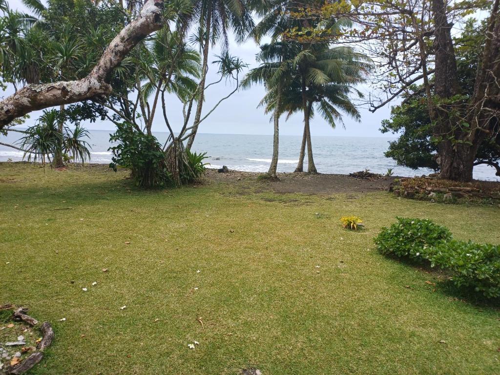 Hitirā Lodge presqu'île - photo 11 - Tahiti, Polynésie