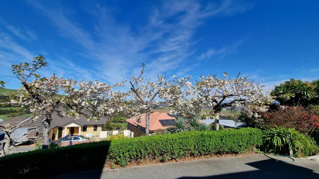 Rooms in a house at the iris sphere ??? - Resim 35