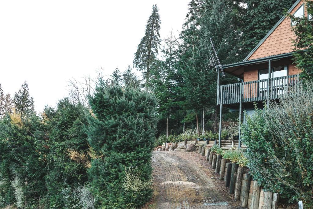 26 Alpine Avenue - Resim 28