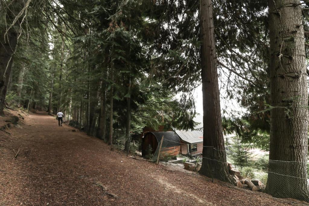 26 Alpine Avenue - Resim 13