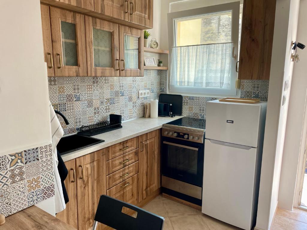 Kuchyň nebo kuchyňský kout v ubytování Artist's quarter, Margit Apartment at the Danube