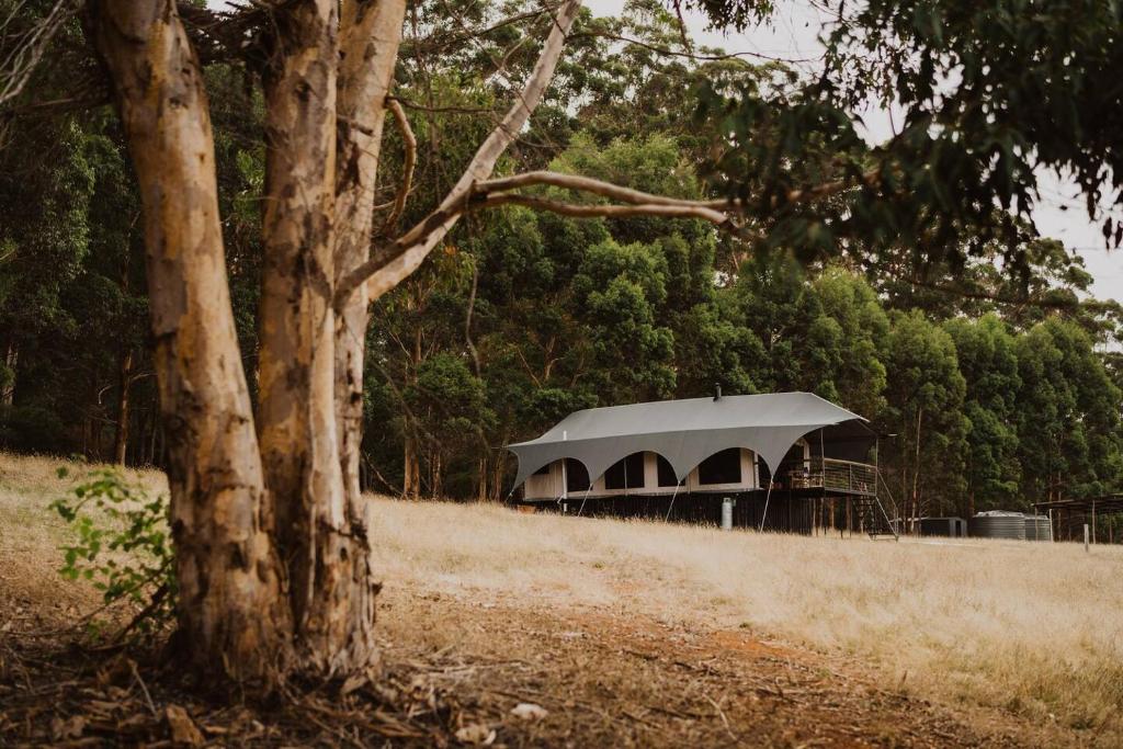 a barn with a grey roof sitting in a field at Wandagar Eco Tent - Baudin in Pemberton