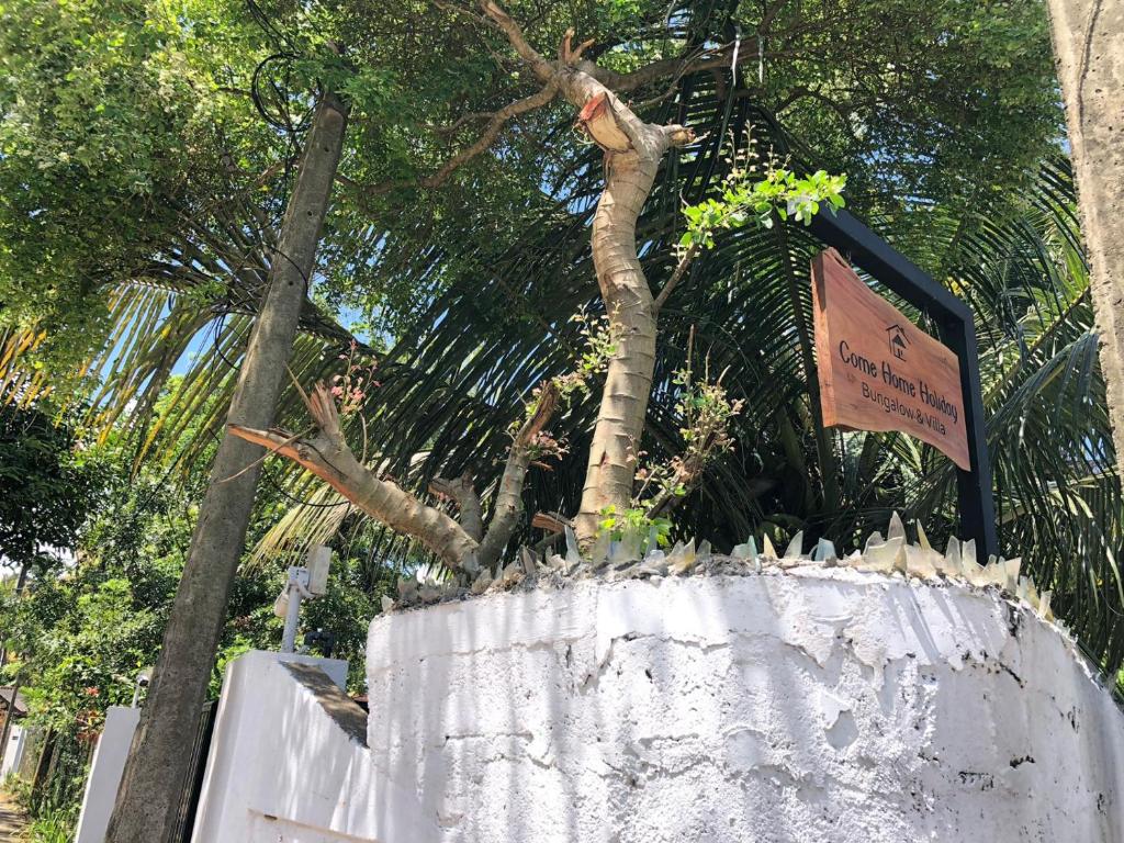 Zahrada ubytování Come home holiday bungalow & villa