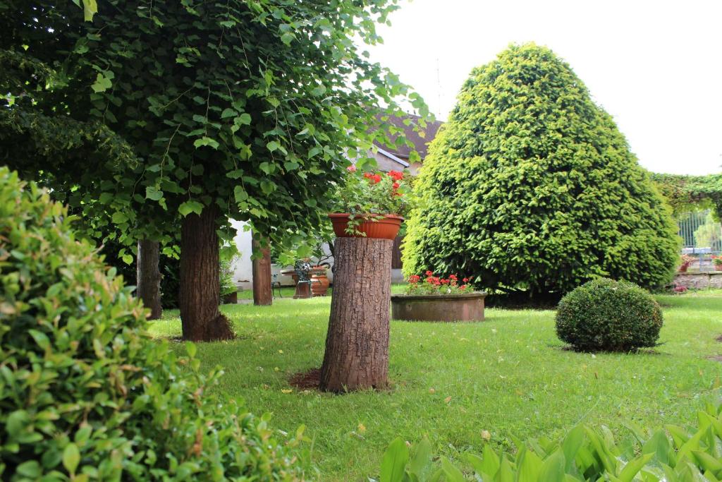 サヴェルヌにあるLe Manoir de l'Abbayeの公園内の鉢植えの切り株