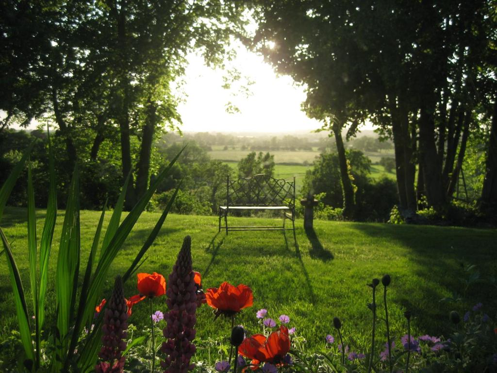 a park bench in the middle of a field with flowers at Folly Studio Bed and Breakfast in Bungay