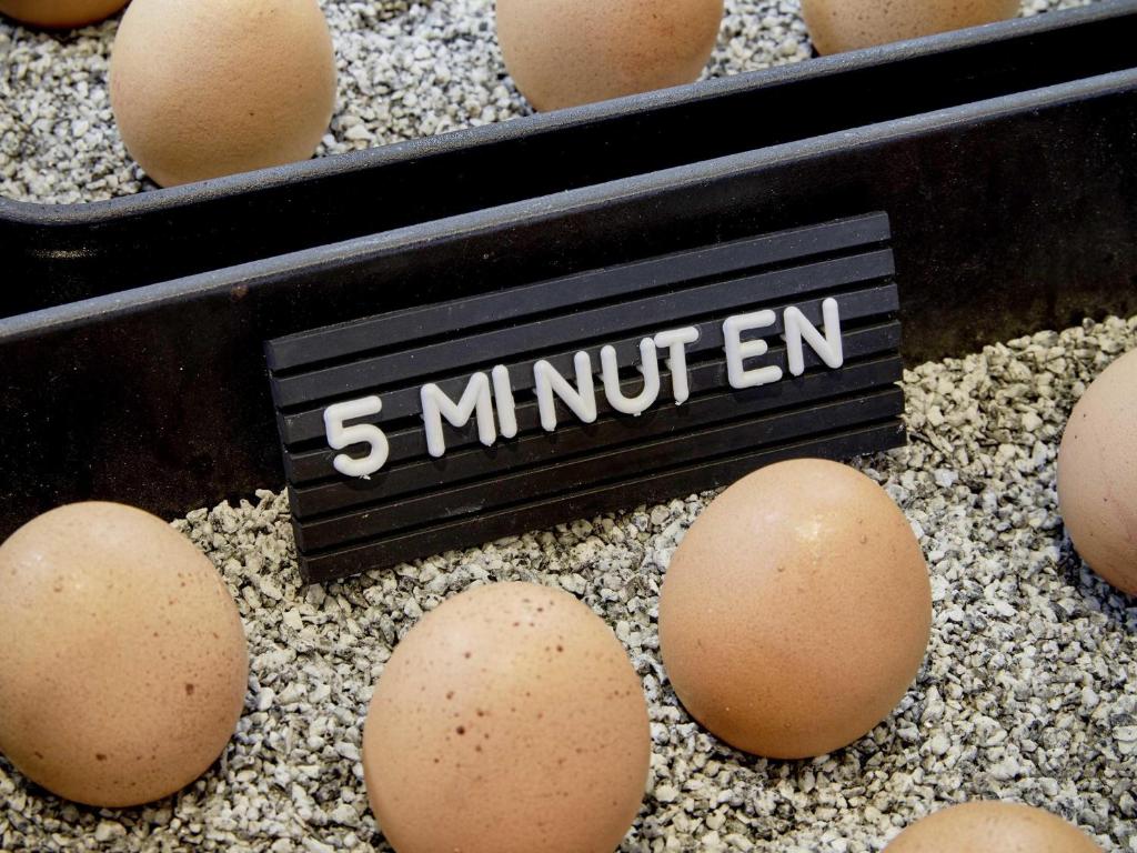 25hours Hotel Das Tour - Resim 29