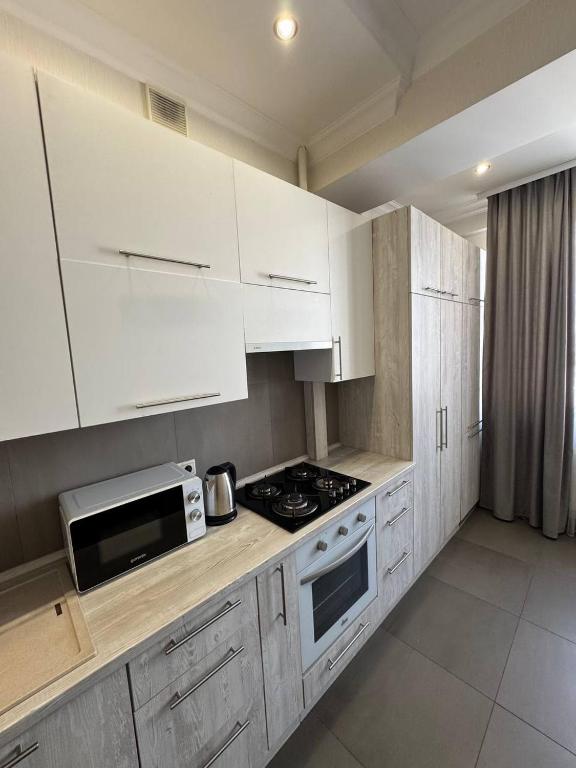 Η κουζίνα ή μικρή κουζίνα στο Tolstoi apartaments Best view