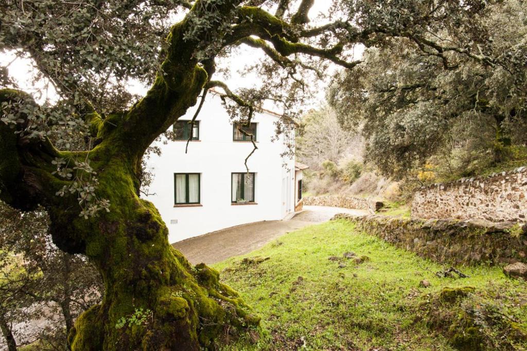 a white house with a tree in front of it at Casa Correcaminos in La Presa