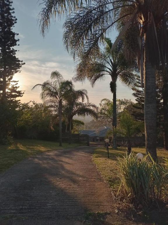 a dirt road with palm trees in a park at Vervet Guesthouse in Port Edward