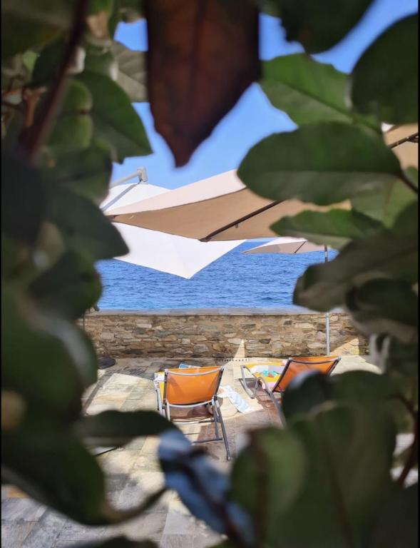 two chairs and umbrellas on a beach with the ocean at Casa Torra d'Erbalunga in Brando