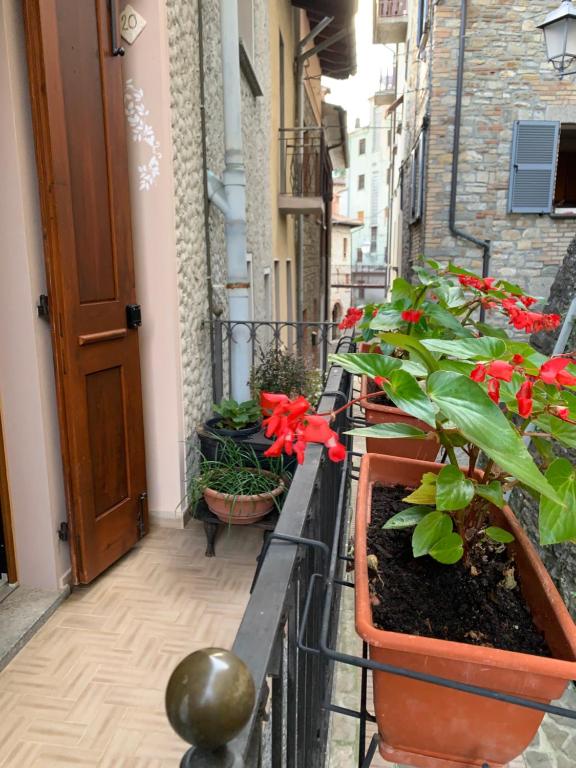 RomagneseにあるLa Casa dei Nonniの花と植物のあるバルコニー