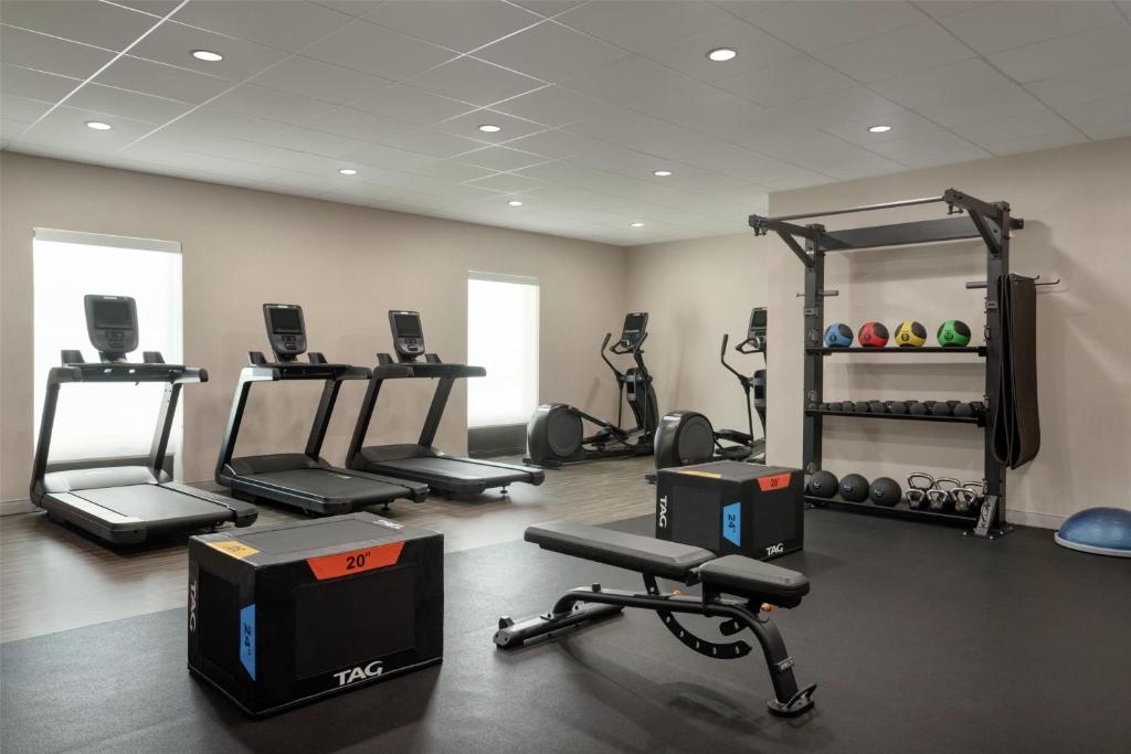 Hampton Inn & Suites by Hilton Tampa Busch Gardens Area photo