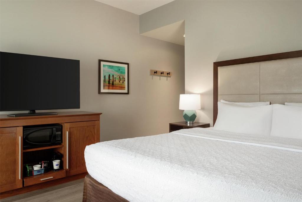 Hampton Inn & Suites by Hilton Tampa Busch Gardens Area photo