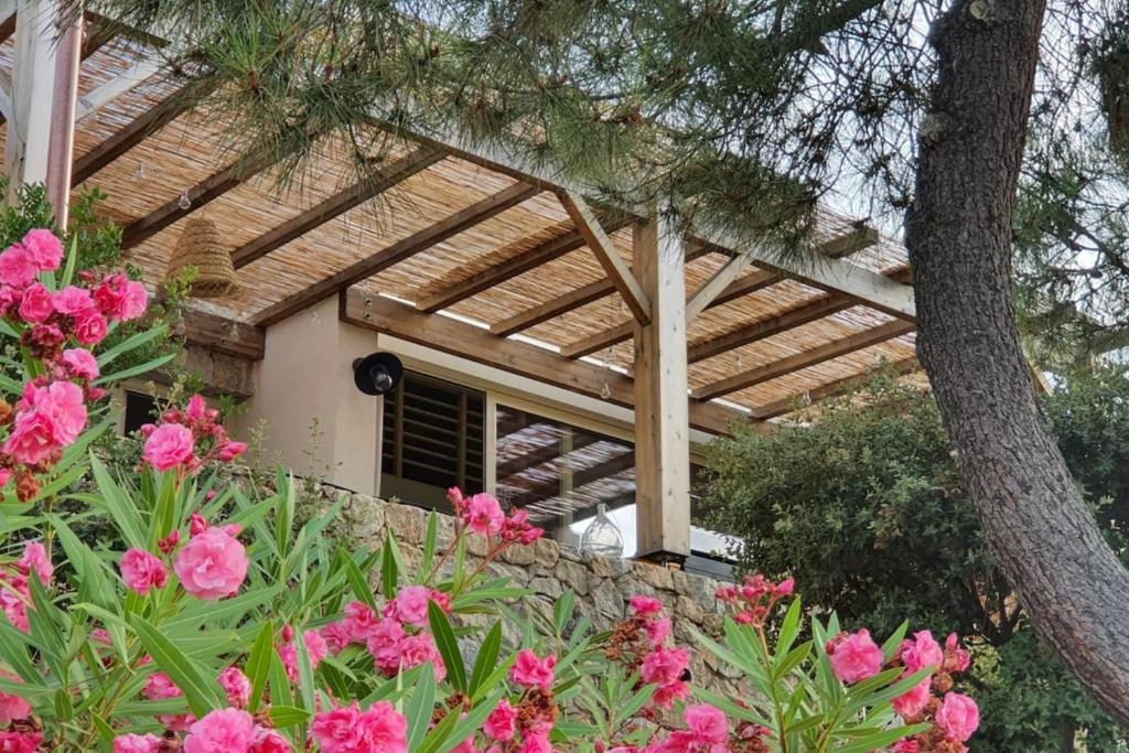 Zahrada ubytování Les Lauriers Roses