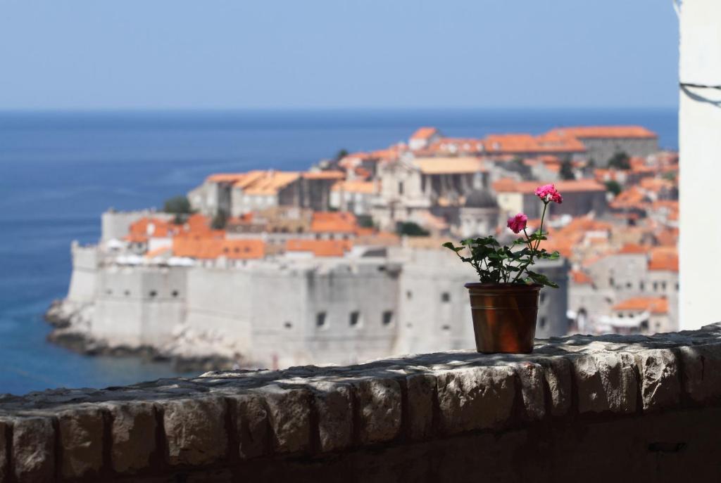 a flower in a pot on a wall with a city at Apartment Amazing View in Dubrovnik