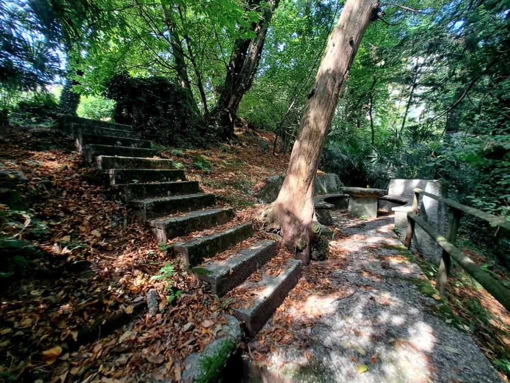 Lugano Luxury Parco by Quokka 360 - Central Apartment with Terrace - Resim 14