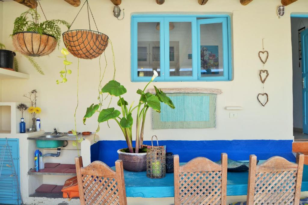 a house with a potted plant on a patio at Casitas Tabayesco in Tabayesco