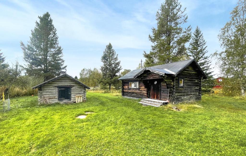 Ringboにある1 Bedroom Amazing Home In Särnaの草原に建つ2つの古い建物