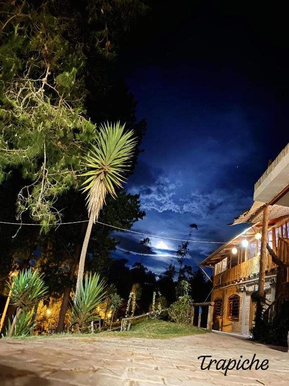 a palm tree in front of a building at night at EL TRAPICHE in Sigchos