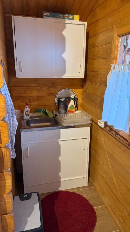 a small kitchen with a sink in a room at Gárdonyi faház in Gárdony