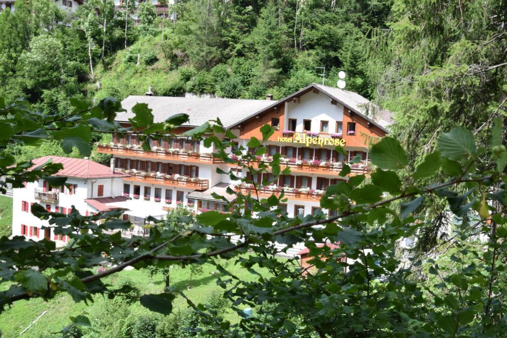 a large building in the middle of a forest at Hotel Alpenrose in Alleghe