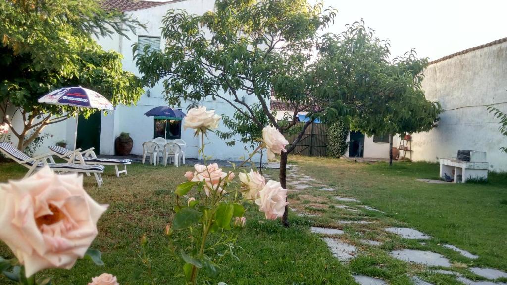 a garden with chairs and umbrellas and roses at Casa Rural San Blas in Sanjuanejo