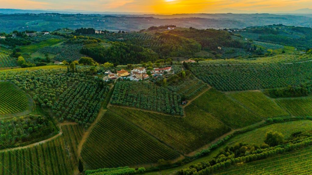 an aerial view of a farm in a field at Agriturismo Bruscola in San Casciano in Val di Pesa