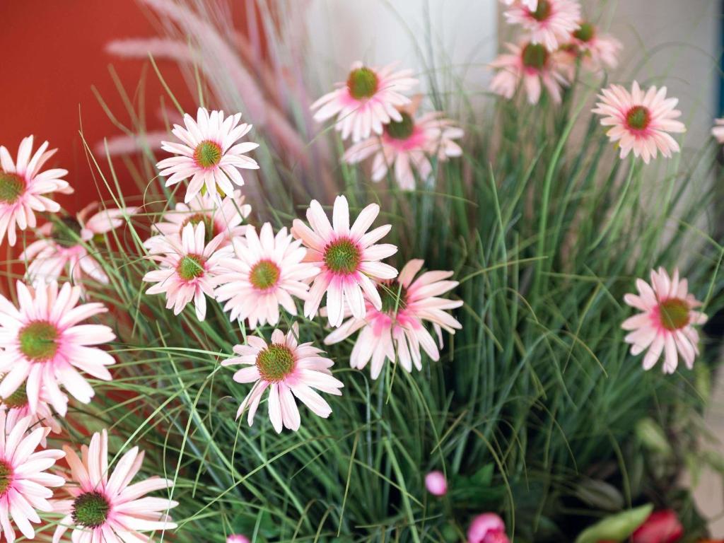 Ibis Styles Paris Batignolles - Resim 13