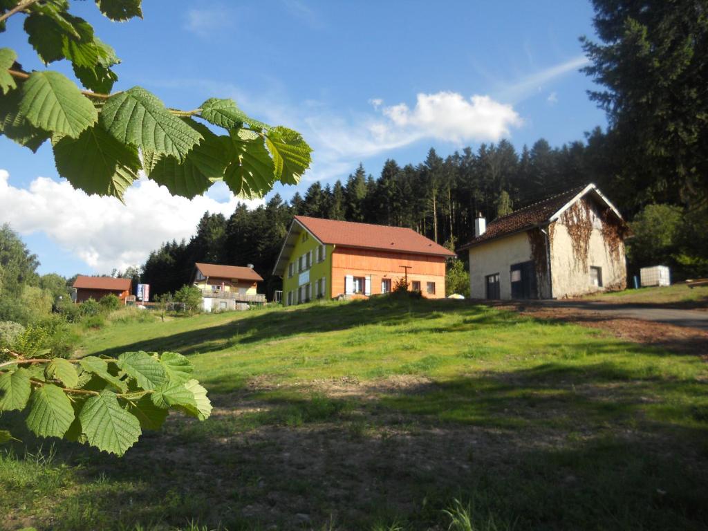 a group of buildings on a grassy field at Gîtes du Saut des Cuves in Xonrupt-Longemer