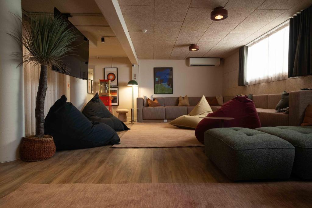 Little Drifter Glebe - Resim 15