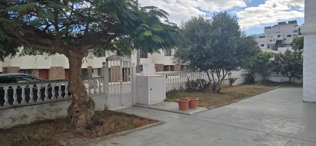 a tree in front of a white fence at Apt Río Piedra Puerto Rico in Mogán