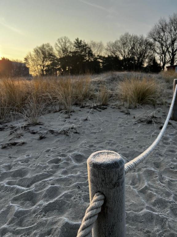 Naturlandskabet i nærheden af lejligheden