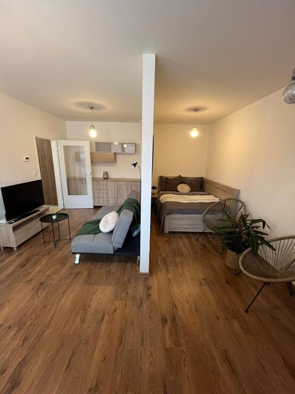 Μια τηλεόραση ή/και κέντρο ψυχαγωγίας στο Apartmán Rose