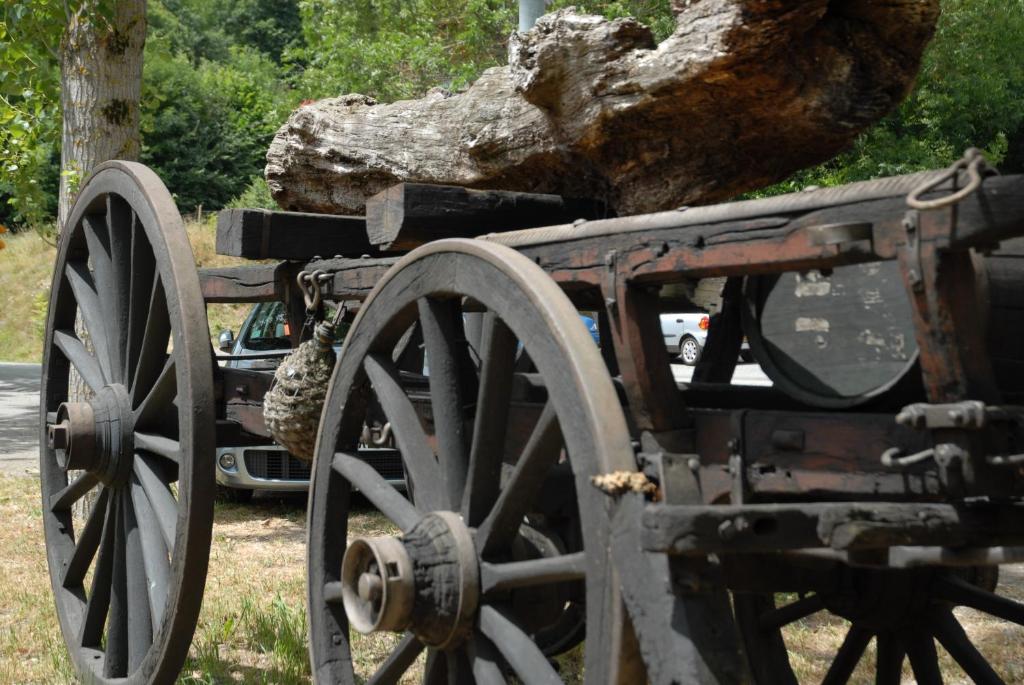 Fotografia z galérie ubytovania Ostau dera nheu v destinácii Les