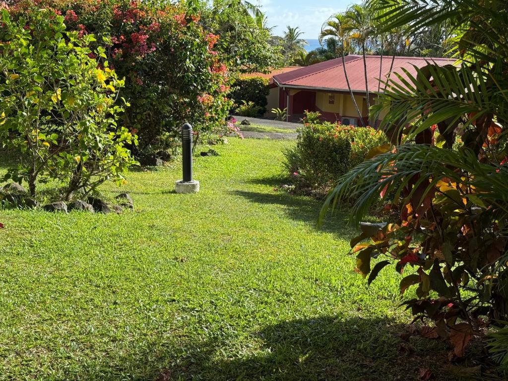 En have udenfor Ti Kolibri