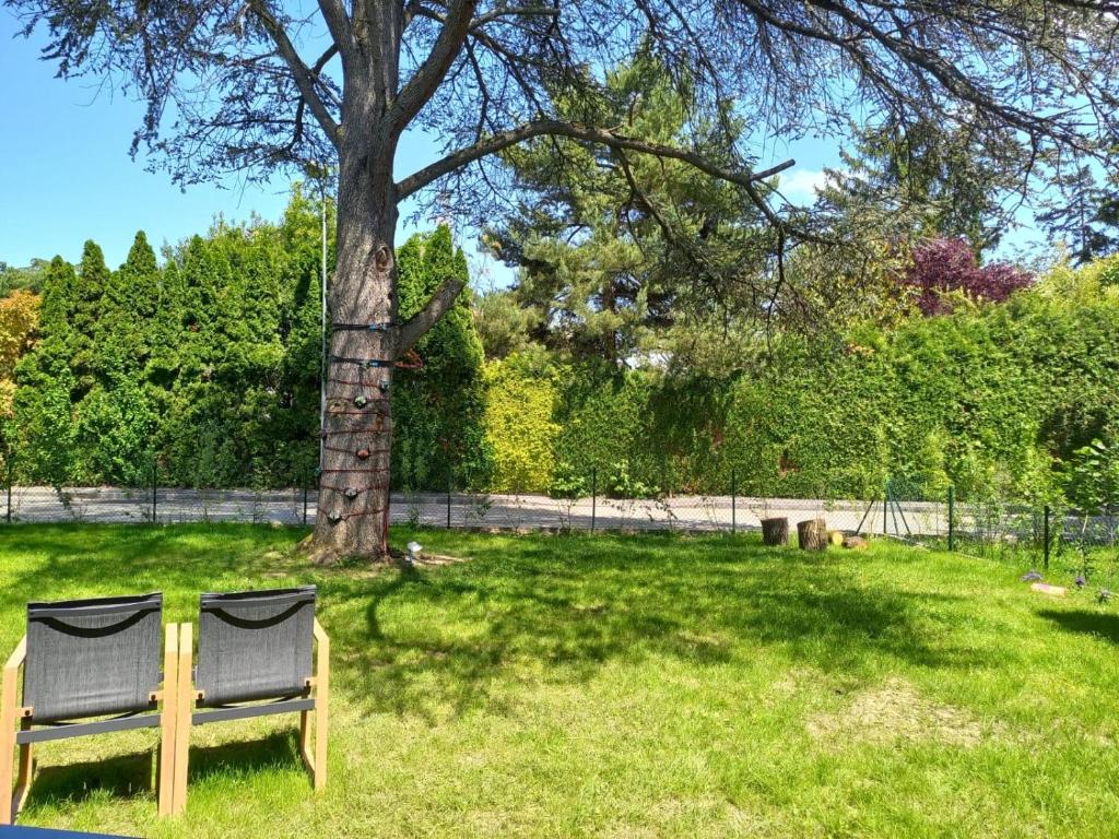 Κήπος έξω από το Modern house with private garden