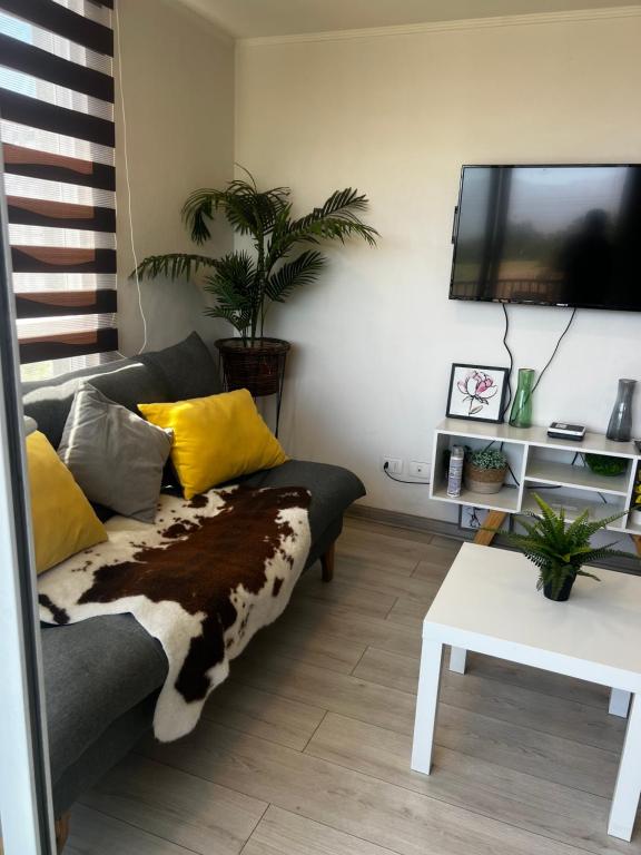 a living room with a couch and a flat screen tv at Departamento safari 2 habitaciones 2 baños in Rancagua