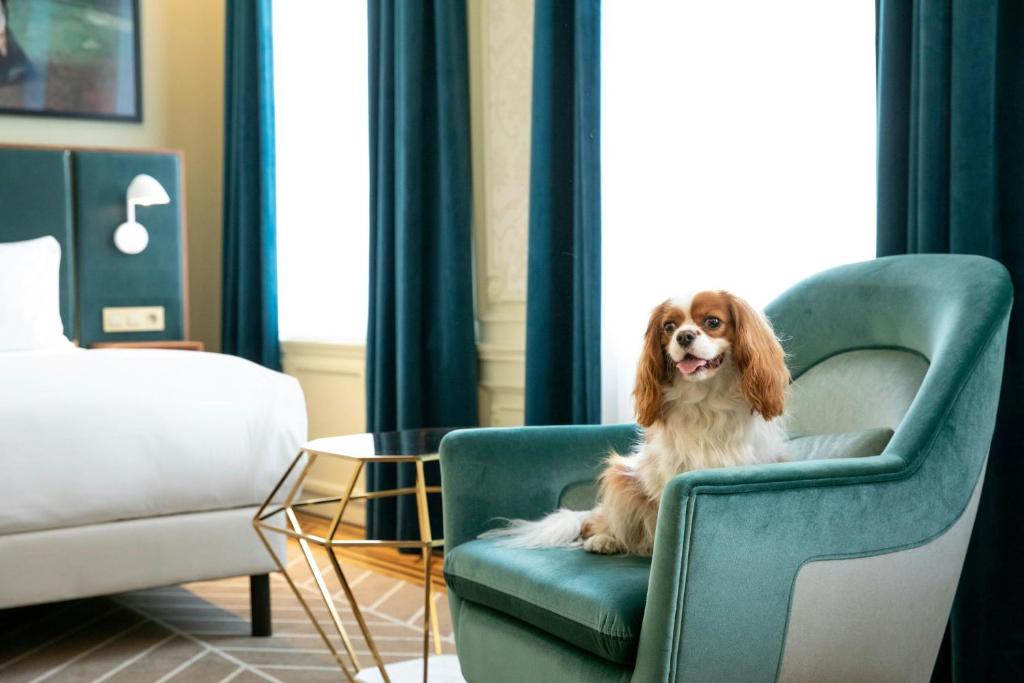 Sapphire House Antwerp, Autograph Collection by Marriott - Resim 37