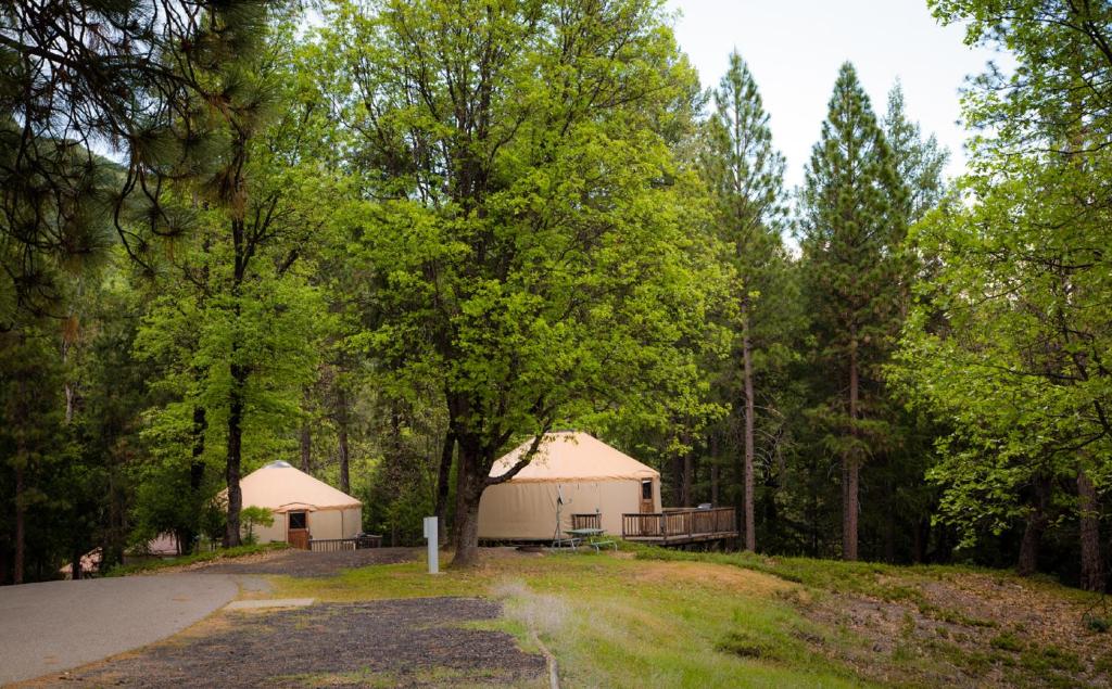 a building in the middle of a forest at Yosemite Lakes Yurts in Harden Flat