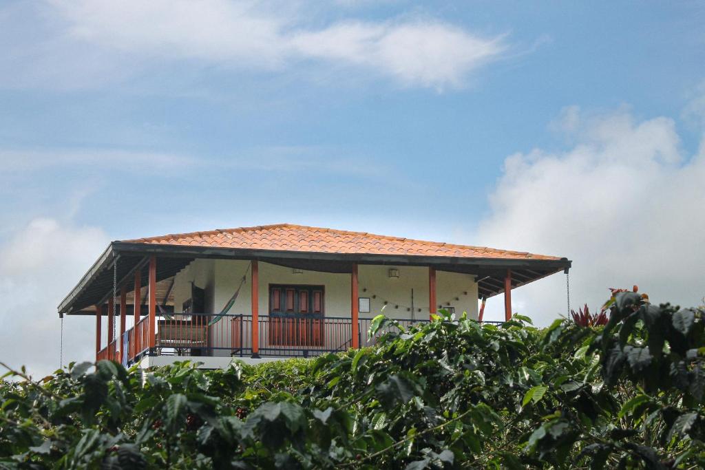 a house with a roof on top of a field at Finca La Coqueta Coffee Farm in Filandia