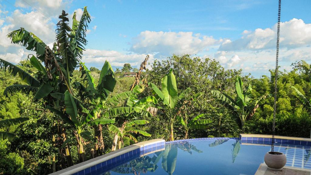 Finca La Coqueta Coffee Farm Stay near Filandia