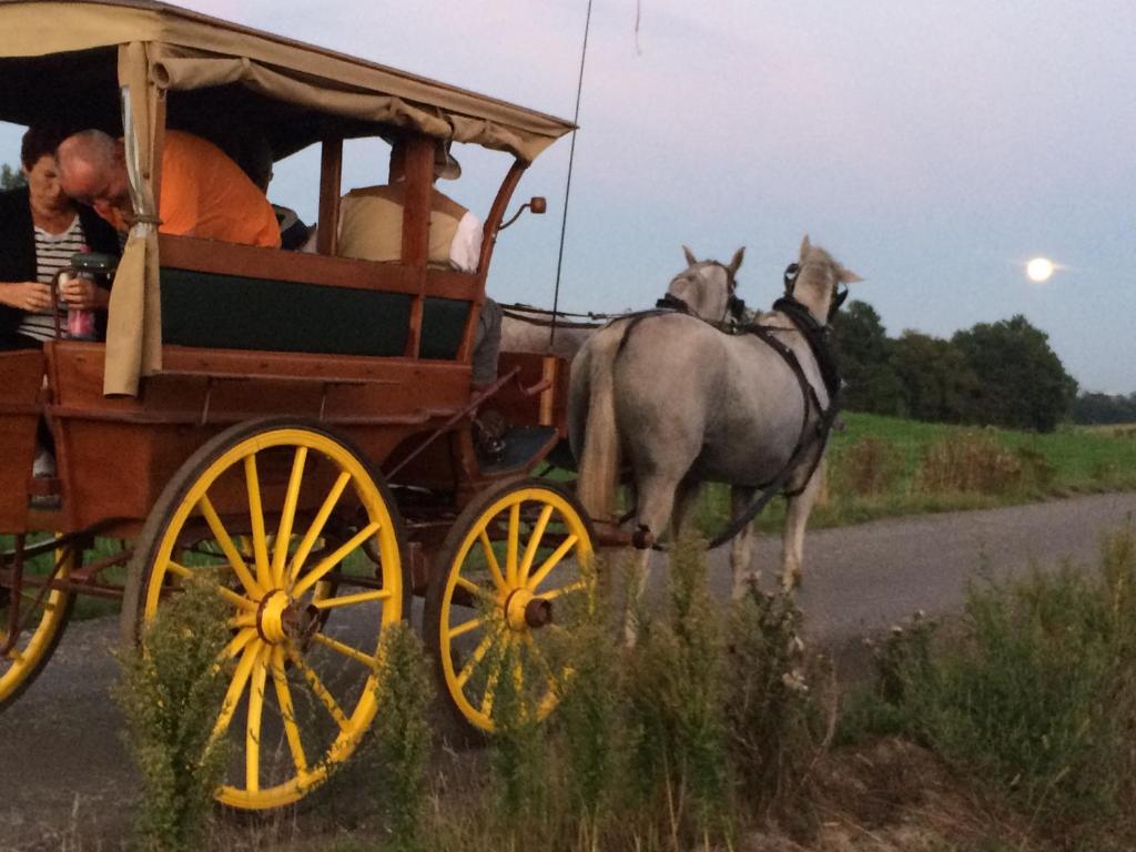 a horse drawn carriage on a road with people at Ferienwohnungen "Am Mühlteich" in Radeburg