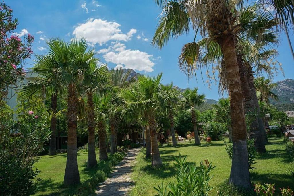 a row of palm trees in a park at Maris Butik Hotel in Turunc