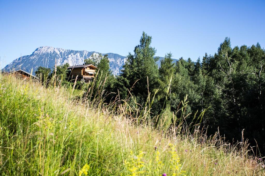 Příroda nedaleko apartmánu