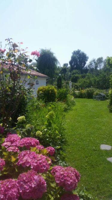 Zahrada ubytování Les Trois Roses