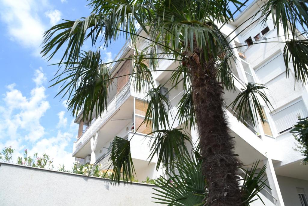 a palm tree in front of a white building at Anita Studio apartment with terrace in Rijeka